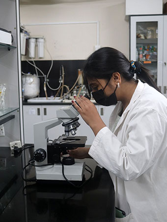 What is the vision of the school?